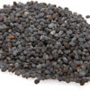 Gopher Stopper-Sour Clover Seed (Melilotus indica) - Image 4
