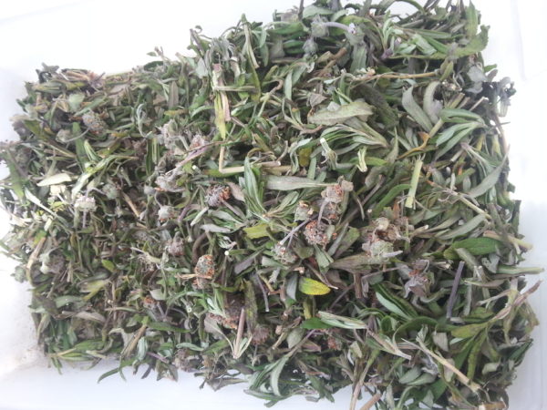 Black Sage-Loose Leaf and Stem Tea - Image 5