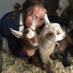 Young girl with two newborn alpine goats