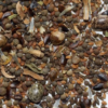 California Native Wildflower Seed Mix - Image 2