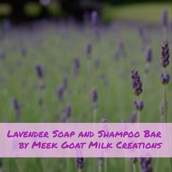 Lavender Melissa Shampoo & Body Bar by Meek Goat Milk Creations