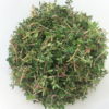 heaping helping of loose dried English Thyme